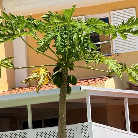 Appartement Americas Camison Con Piscina 10 Tenerife365 Playa de las Américas